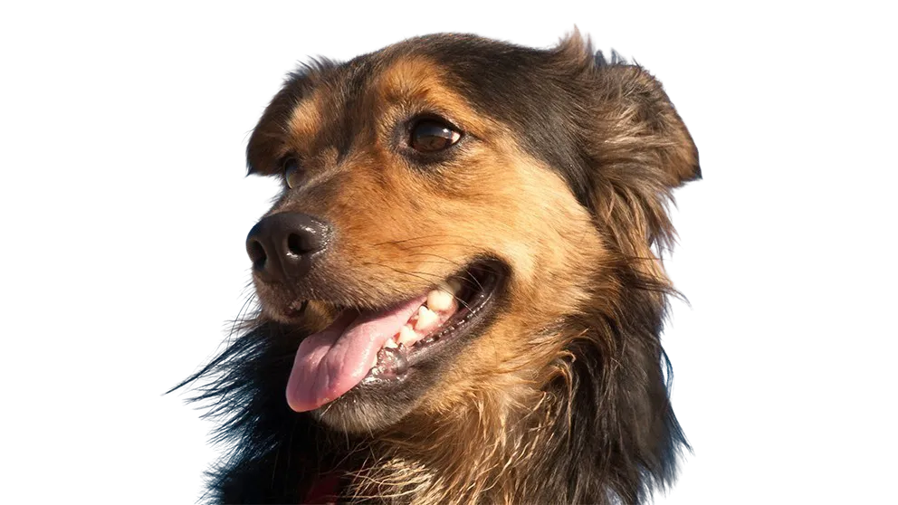 Processamento ultrarrápido - depois