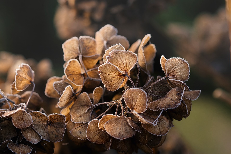 Arting AIのシームレスな顔入れ替えでGIFに命を吹き込もう!