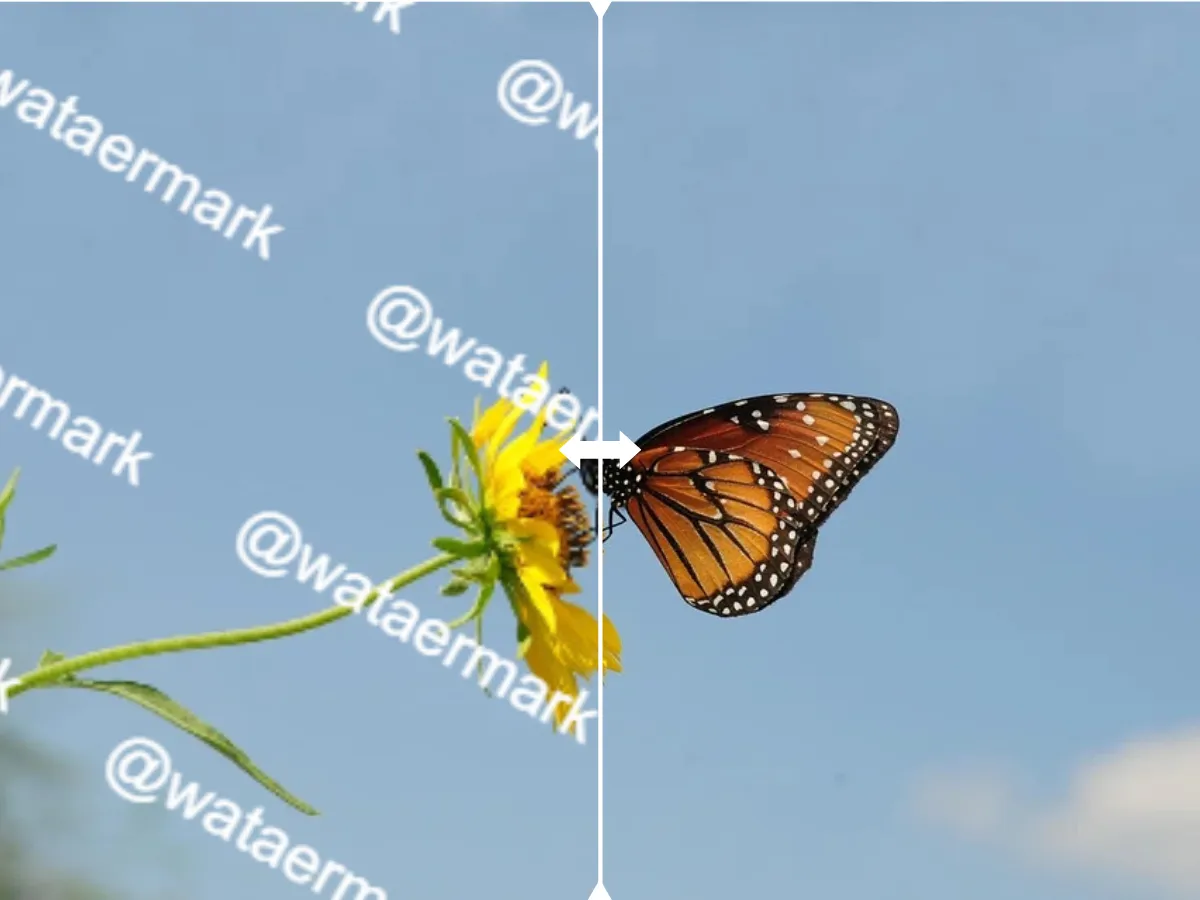 Edición de GIF gratis, rápida y sin complicaciones