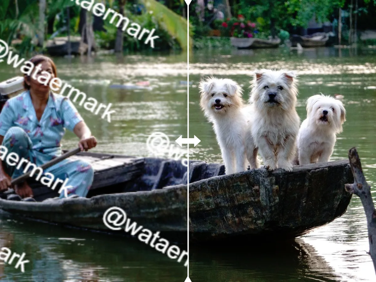 Elimina marcas de agua de GIF en todas las plataformas