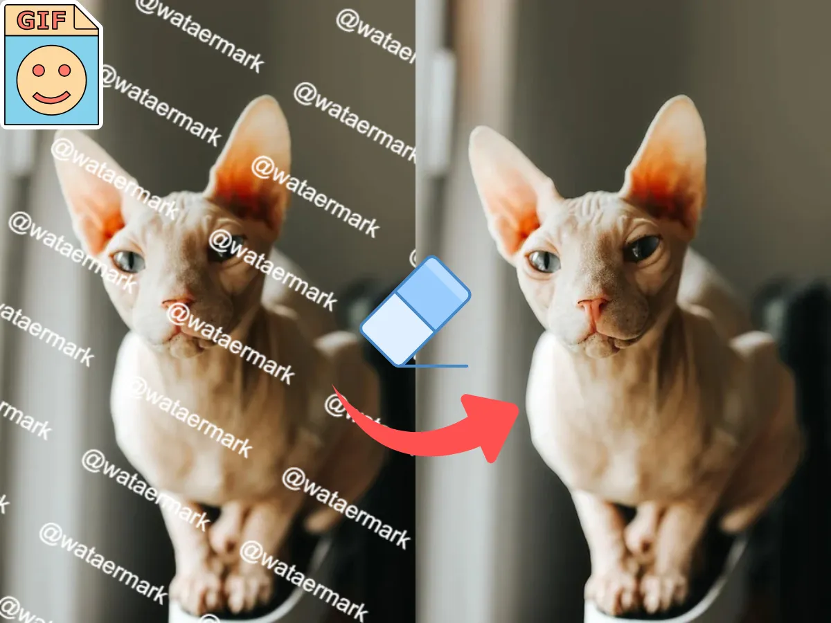 Eliminador de marcas de agua en GIF gratis online