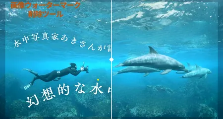 画像のウォーターマークを自然に除去するAIツール