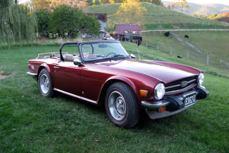 Mejorar Foto con IA y Realzar Detalles - Después