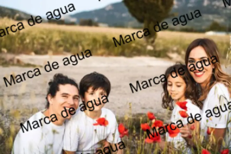 Quitar marcas de agua online y gratis con inteligencia artificial - Antes Quitar marcas de agua online y gratis con inteligencia artificial - Antes