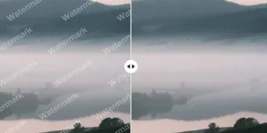 Eliminador de marcas de agua en imágenes