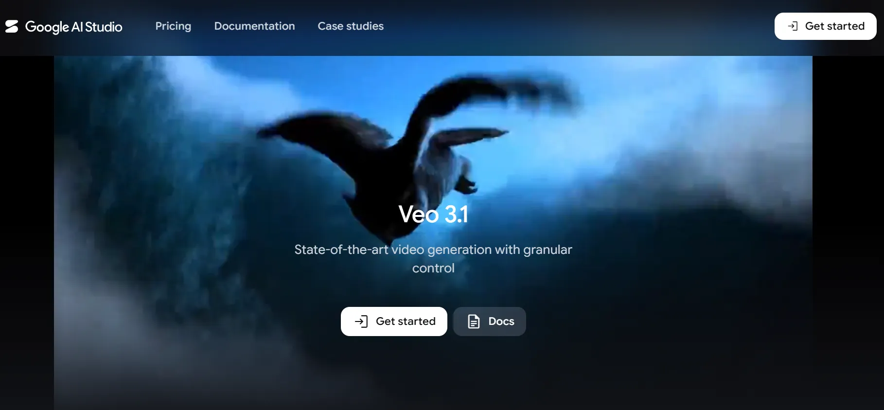 Veo 3.1 image to video example