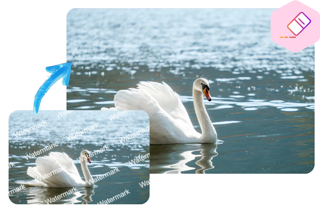 Smart Multi-Type Watermark Removal