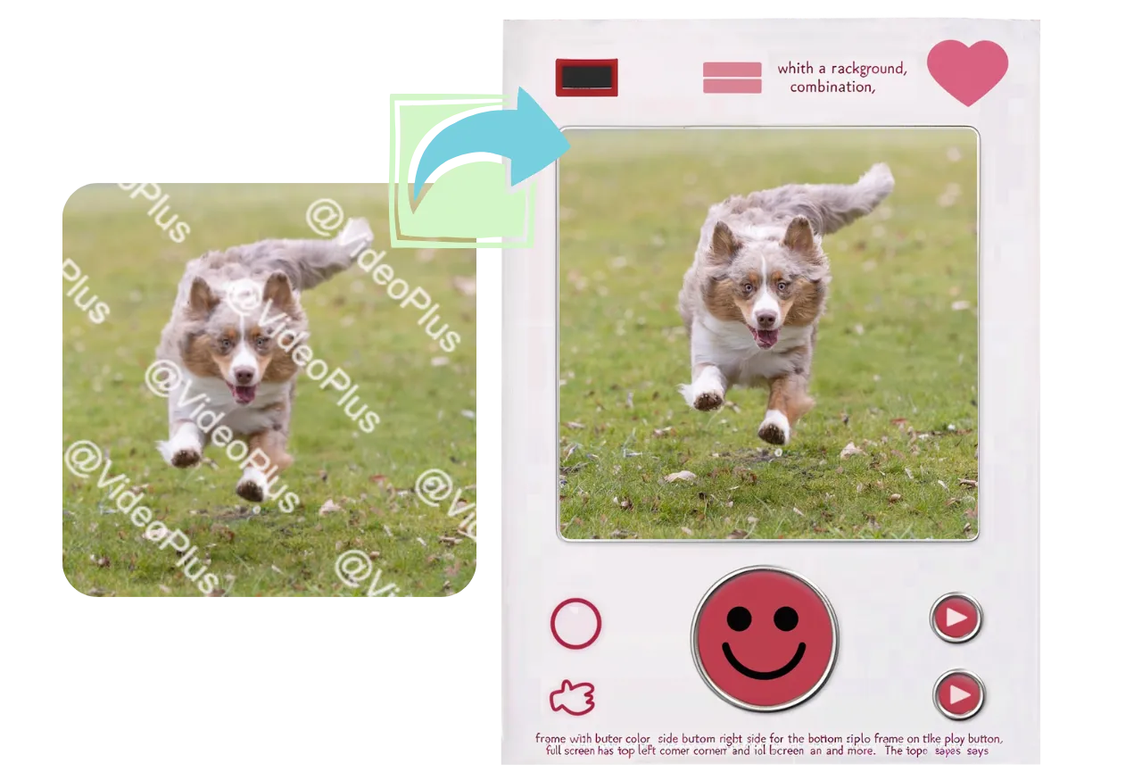 One-Click Export & Social Media Integration