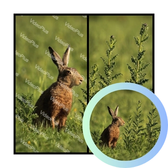 High-Quality Image Restoration with image watermark remover