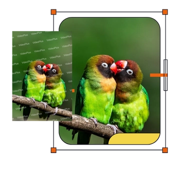 Easy to Use on image watermark remover