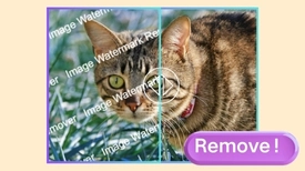 AI remove watermark from image