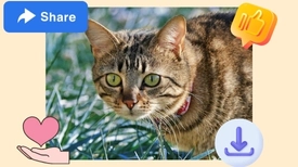 Download a clean image from image watermark remover