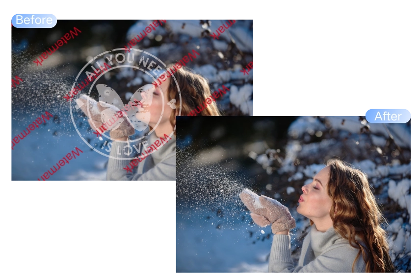 Remove multi-element watermark with image watermark remover