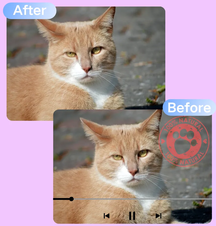 節省時間，跳過複雜的編輯軟體