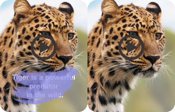 干擾性文字浮水印